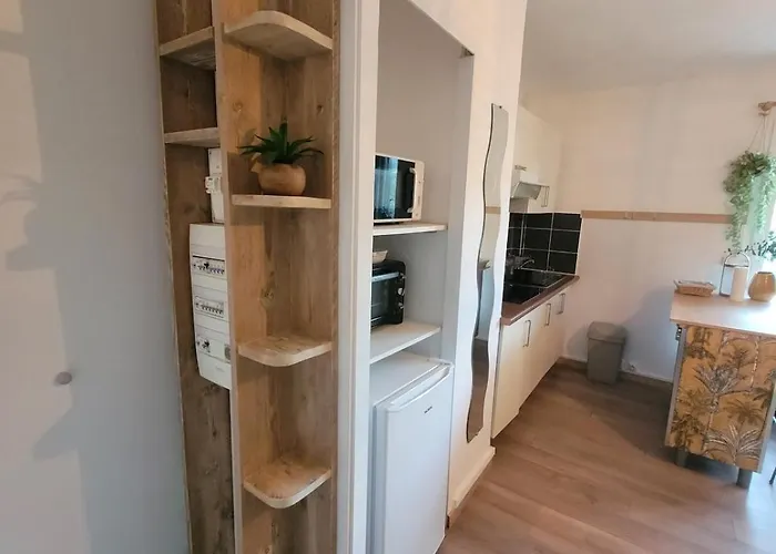 Joli T2 A Giens Lejlighed *