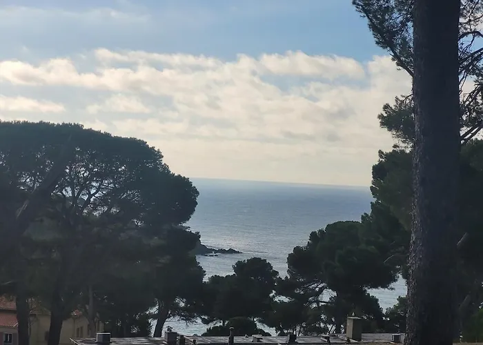 Joli T2 A Giens Hyères